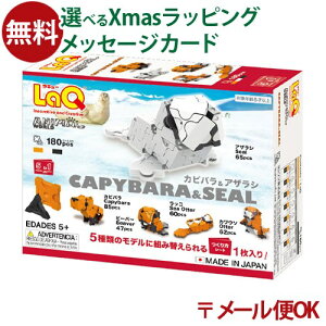 [OK LaQ L[ Aj}[h JsoAUV {  q w