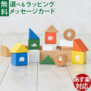 エデュテ Edute baby&kids SOUNDブロックス (知育玩具) 価格比較 