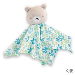 [OK ingenuity CWFjCeB uPbgʂ Ԃ z oYj v`Mtg ʂ 