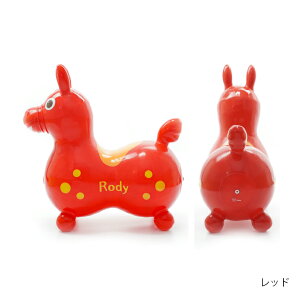 RODY ���f�B ��p�ߋ� �m���t�^���_ ���f�B �b�̊� �o�����X�{�[�� �a�����j�� ���������� �q��