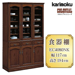 [őP49{!}\Ώ] yJݒutzJN JNƋ RjA EC4080 EC4080NK HI 117cm ui ؐ VR { Y karimoku J KX Jg[ AeB