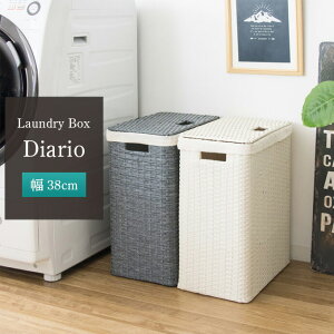 [ő400~OFFN[|zz] h[{bNX Diario fBAI 󕨓 JS  k h[oXPbg RB-380 ߗގ[ {쏊 ^ y y ӂt c^