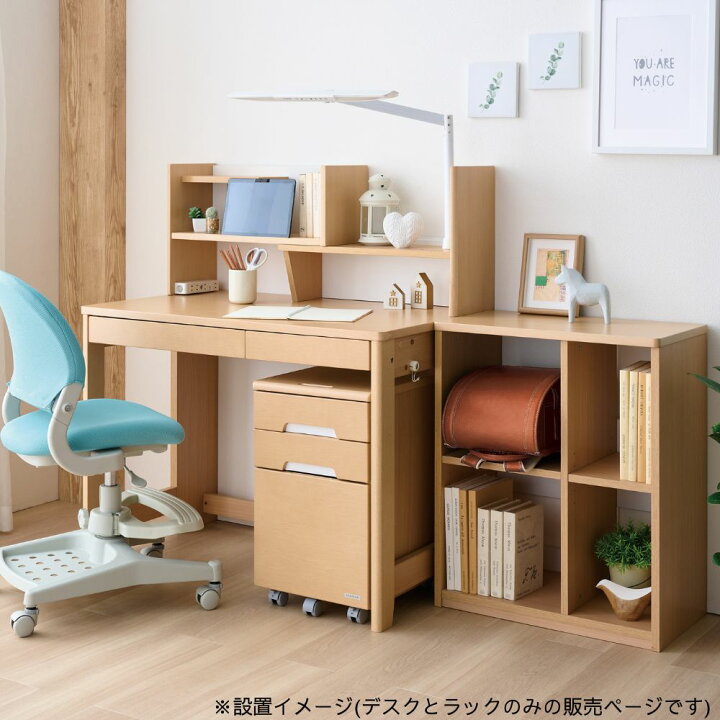 楽天市場】【最大400円OFFクーポン配布中】【口コミプレゼント付 