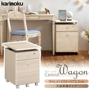 JN JNƋ SJ0107 SJ0107MY J[V S 41cm s55cm I[N VA[zCgF ؐ VR { Ki V~ karimoku wKfXNp ׋ rOwK jAXJ