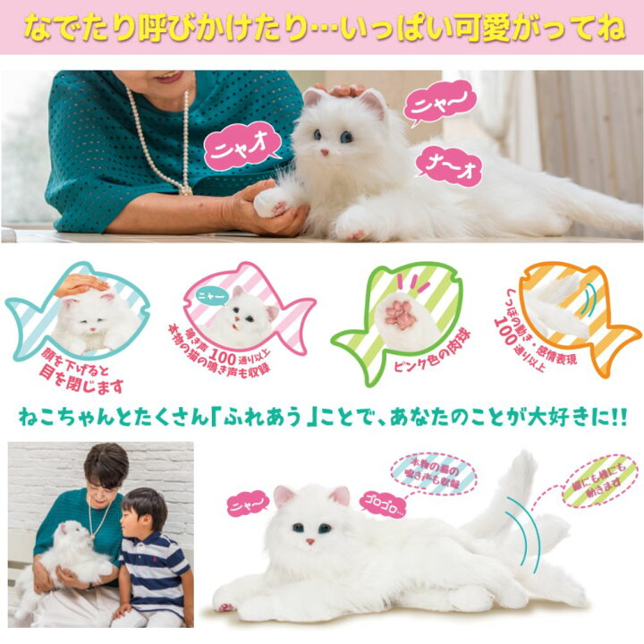 楽天市場】デジレクト しっぽふりふり あまえんぼうねこちゃん 