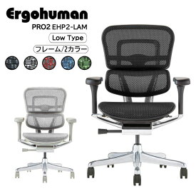 【豪華プレゼント国産チェアマット付(レビュー特典)】 新型 エルゴヒューマン プロ2 EHP2-LAM Ergohuman Pro2 送料無料 オフィスチェア ロータイプ ローバック 椅子 テレワーク 疲れない メッシュ 肘付き リクライニング ロッキング 前傾