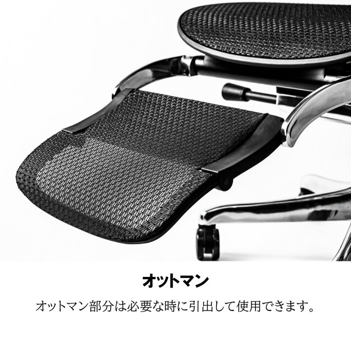 楽天市場】[最大400円OFFクーポン配布中] エルゴヒューマン プロ2 EHP2 