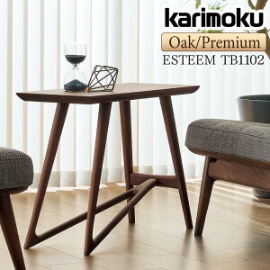 [ő400~OFFN[|zz] JN JNƋ TB1102ME TB1102MK TB1102XR ESTEEM TChe[u 27.6cm I[N EH[ibg ؐ VR { Y Ki karimoku \t@e[u ~je