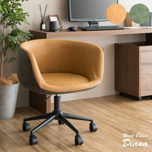 ItBX`FA fXN`FA CH-K901 [N`FA Diana fBA[i L O[ ]`FA 360x It ~  LX^[t [obN _   킢