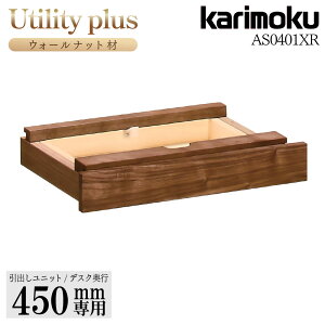 JN JNƋ AS0401 AS0401XR [eBeBvX ojbg s45cm EH[ibg ؐ VR Y { Ki Utility plus karimoku wK wKfXN IvVi j