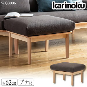 JN JNƋ WG30 WG3006 WG3006V WG3006I Xc[ ui 62cm z z z VR ؐ { Y Ki Ibg} ⏕֎q 悹 karimoku RpNg EHbVu _