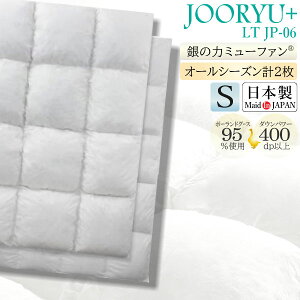 tXxbh France Bed Hѕzc LT JP-06 JOORYU PLUS VO q HтӂƂ I[V[Y zCgO[X_E 95%