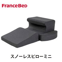 楽天市場】スノーレスピローミニの通販
