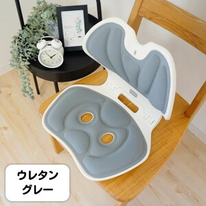 ɂ₳ pŔɂ RpNg`FA ܂肽ݎpT|[g NbV Q `FA pǂȂ֎q lԍHw ̈U ItBX`FAp ItBX [g[N 