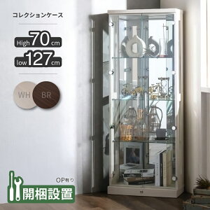 [őP49{!}\Ώ] yTtcz RNVP[X RNV{[h LED Cgt t ^ LIP[X I fBXvCP[X i Ƌ 70cm 127cm 