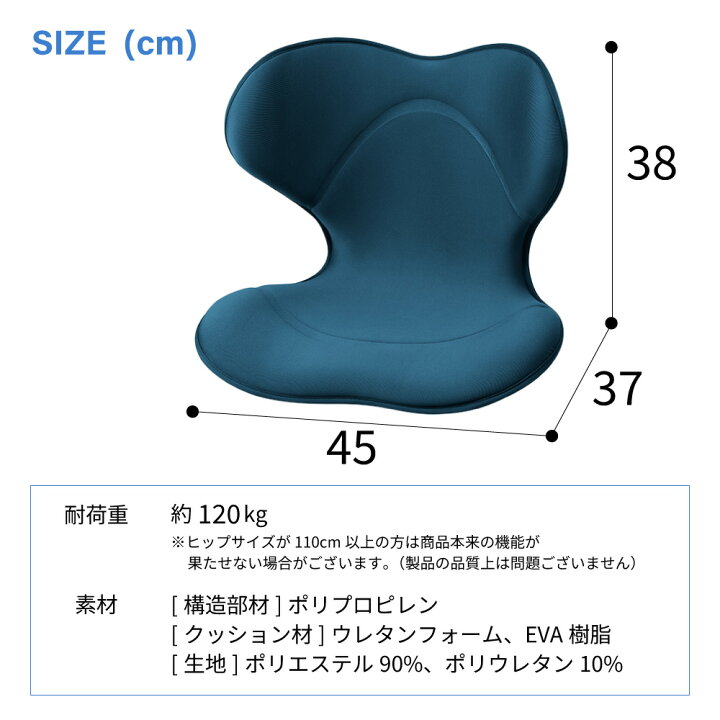 楽天市場】[スタンプで最大3,000円OFF!] 【選べるW特典a】 姿勢 
