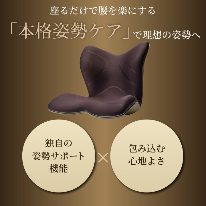 楽天市場】[スタンプで最大3,000円OFF!] 【選べるW特典a】姿勢サポート 