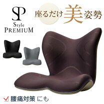 楽天市場】座椅子 スタイル プレミアムの通販