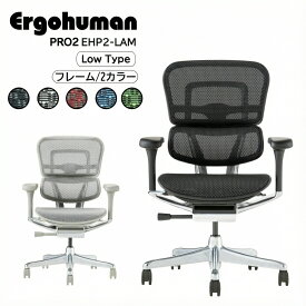 [スタンプで最大3,000円OFF!] エルゴヒューマン プロ2 EHP2-LAM Ergohuman Pro2 送料無料 オフィスチェア ロータイプ ローバック 椅子 テレワーク 疲れない メッシュ 肘付き リクライニング ロッキング 前傾