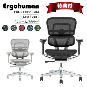 yTtfz GSq[} v2 EHP2-LAM Ergohuman Pro2  ItBX`FA [^Cv [obN ֎q e[N Ȃ bV It NCjO bLO OX