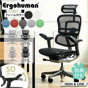 [�ő�500�~OFF�N�[�|���z�z��] �y�I�ׂ���T�tm�z �G���S�q���[�}�� �v��2 �I�t�B�X�`�F�A EHP2-HAM EHP2-LAM Ergohuman Pro2 5D DR �w�b�h���X�g �n�C�^�C�v �n�C�o�b�N ���[�^�C�v ���[�o�b�N �I�t�� ��
