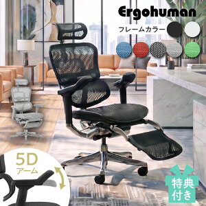 [�ő�500�~OFF�N�[�|���z�z��] �y�I�ׂ���T�tm�z�G���S�q���[�}�� �v��2 EHP2-LPL 5D DR 5D�A�[�� �I�b�g�}�� Ergohuman Pro2 ottoman �I�t�B�X�`�F�A �Q�[�~���O�`�F�A �f�X�N�`�F�A ���Ȃ� ���b�V��