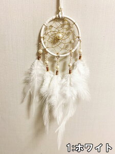 17܂  h[Lb`[  J[pi [~[ ANZT[  H  킢  ii v[g nhCh G    ~ zCg s