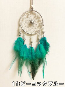 17܂  h[Lb`[  J[pi [~[ ANZT[  H  킢  ii v[g nhCh G    ~ zCg s