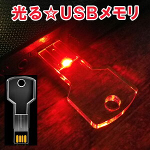 17܂  usb USB[ 8GB 8gb pcΉ Type-A bh  lC KEY  JM 킢 ʐ^ 摜  y eLXg f[^ۑ  j[N G pcӋ@ ii v[