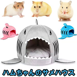 CX^f nX^[ nEX T    h Q ӂӂ O[ sN u[  `` 킢 kC   |Xgő |Cg  