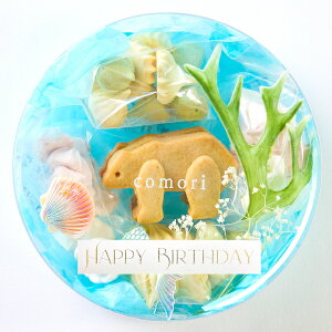 hV̓v[g comori y܃NbL[̃p[eB[{bNX(mermaid)z Ăَq َq Zbg lߍ킹Mtg 킢   َq Mtg v`Mtg av