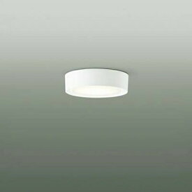 【DCL-39067W】 DAIKO 小型シーリングライト 非調光 昼白色 白熱灯60W相当 大光電機