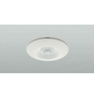 yDP-41304z DAIKO @\i VtlZT[XCb` q d@