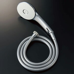 �yBF-SL6BG(1.6)�z���N�V�� �V�����[�w�b�h �G�R�A�N�A�V�����[ (�߂����d�l) LIXIL