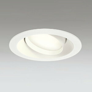 �yOD361241LDR�z�I�[�f���b�N S�` �_�E�����C�g ���M��100W�N���X ���C��SB �����FLED LED�d���t���b�g�`