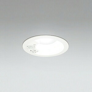 �yOD261737R�z�I�[�f���b�N S�` �Z���T�[�t�_�E�����C�g R15�^�C�v ���M��100W