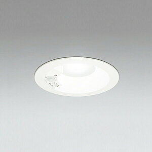 �yOD261249R�z�I�[�f���b�N S�` �Z���T�[�t�_�E�����C�g R15�^�C�v ���M��100W