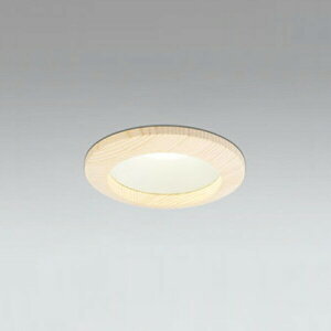 �yOD261670R�z�I�[�f���b�N S�` �ؘg �x�[�X�_�E�����C�g R15�^�C�v ���M��60W