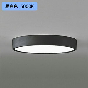 yOL251732RzI[fbN V[OCg LEĎ^ F FCL30W A ʔ ODELIC