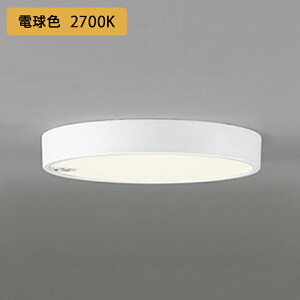 yOL251735RzI[fbN V[OCg LEĎ^ dF lZT[t FCL30W Es ODELIC