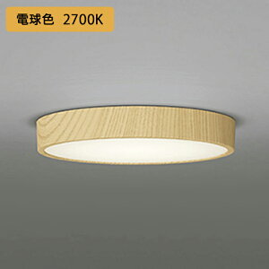 yOL251747RzI[fbN V[OCg LEĎ^ dF FCL30W A ʔ ODELIC