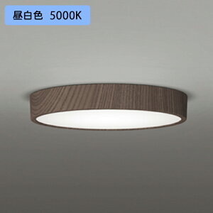 yOL251748RzI[fbN V[OCg LEĎ^ F FCL30W A ʔ ODELIC