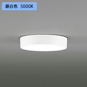 �yOL251750R�z�I�[�f���b�N �V�[�����O���C�g LED��̌^ �����F ���M����� 100W �E������s�� ODELIC