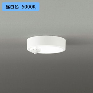 yOL291444RzI[fbN V[OCg LEĎ^ F 60W xlZT[t M Es gCp ODELIC