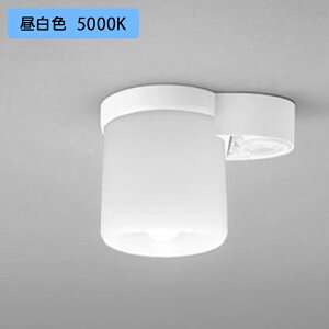 yOL013380NRzI[fbN V[OCg 60W LED F xlZT[t ^EgCp /CAM Es ODELIC