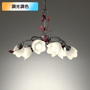 yOC257028BRzI[fbN VfA 6 LED dF-F FEs Rg[[ʔ ODELIC