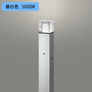 yOG254878NRzI[fbN GNXeA K[fCg LED F s ÃZT[t R[htȂ ODELIC