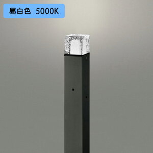 yOG254881NRzI[fbN GNXeA K[fCg LED F s ÃZT[t R[htȂ ODELIC