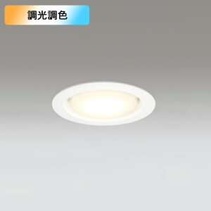 �yOD361204RG�z�I�[�f���b�N �_�E�����C�g 60W LED �d���F-�����F �����E���F�t���J���[ ������s�� �R���g���[���[�ʔ� (�\���FOD361204#×1) + (NO273DB×1)