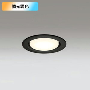 �yOD361234RG�z�I�[�f���b�N �_�E�����C�g 60W LED �d���F-�����F �����E���F�t���J���[ ������s�� �R���g���[���[�ʔ� (�\���FOD361234#×1) + (NO273DB×1)